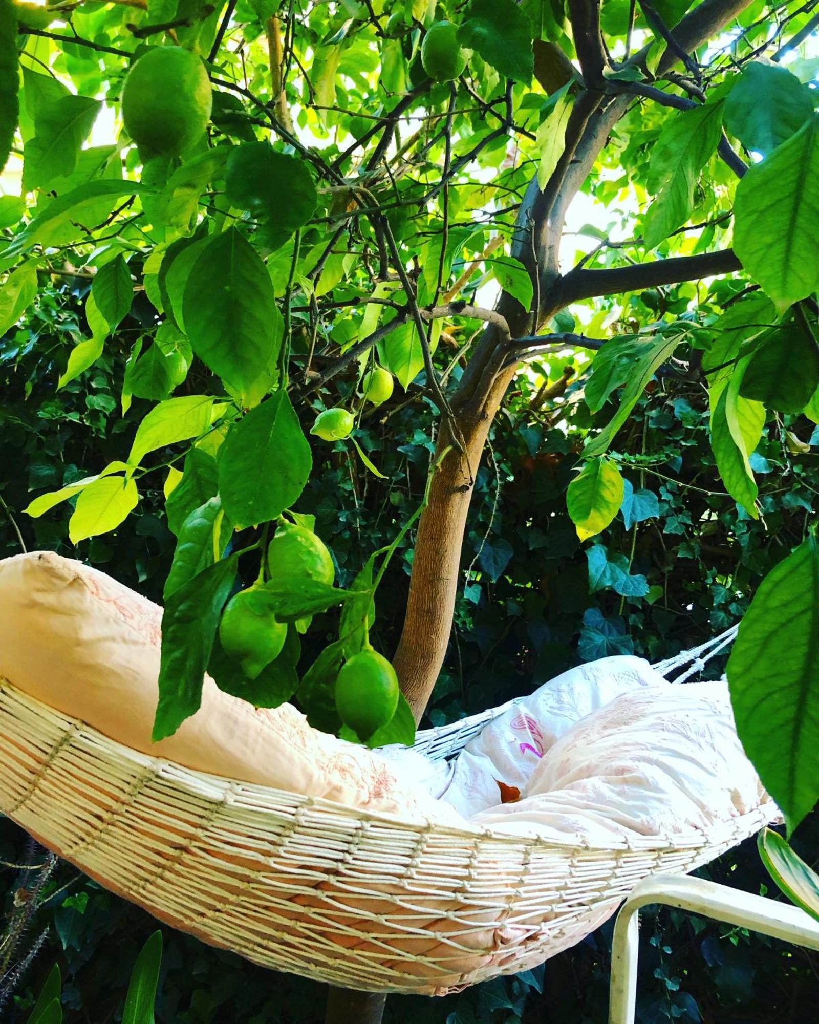 Penelope B&B Palermo Eksteriør bilde