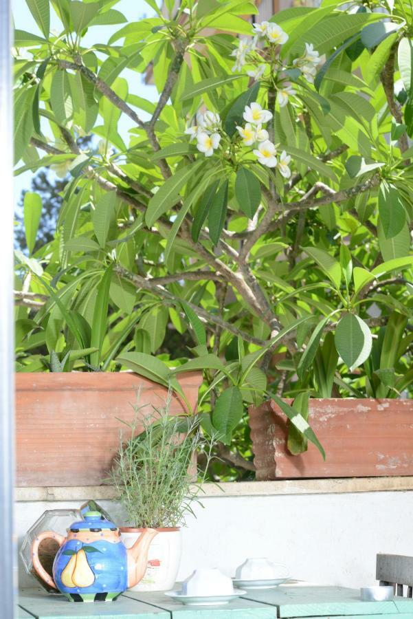 Penelope B&B Palermo Eksteriør bilde